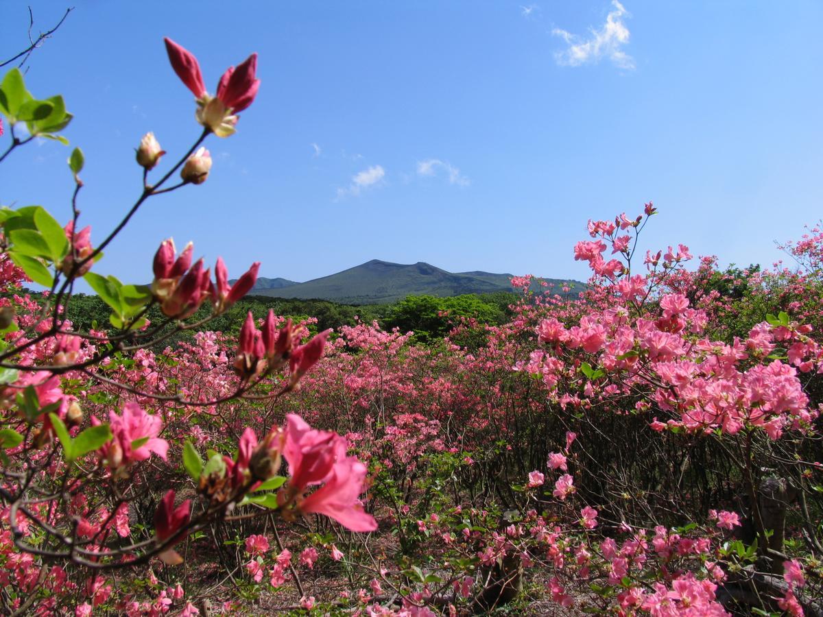 Вилла ホライゾン Oshima Экстерьер фото